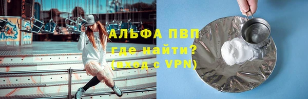 спиды Новодвинск