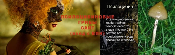 спиды Новодвинск
