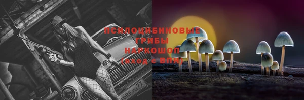 mdpv Новокубанск