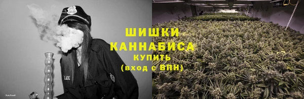 спиды Новодвинск